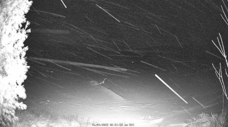Image from 2025-01-04