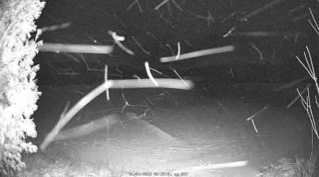 Image from 2025-01-04