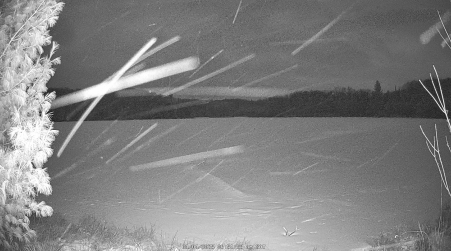 Image from 2025-01-04