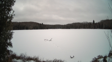 Image from 2025-01-04