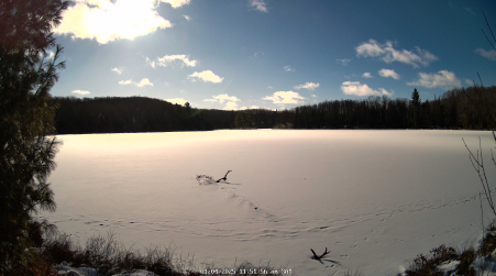 Image from 2025-01-04