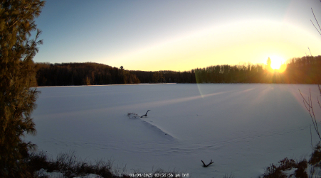 Image from 2025-01-04