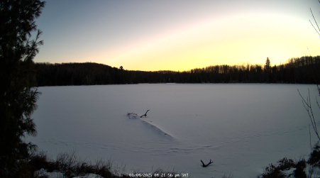 Image from 2025-01-04