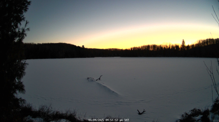 Image from 2025-01-04