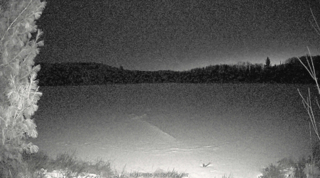 Image from 2025-01-04
