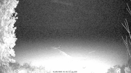 Image from 2025-01-05