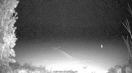 Image from 2025-01-05
