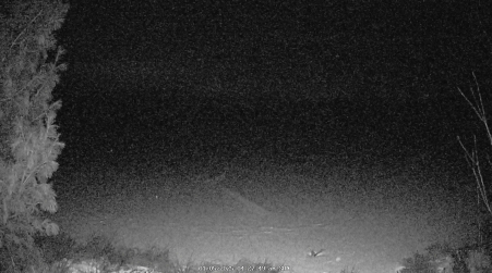 Image from 2025-01-05