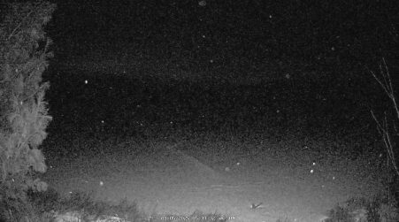 Image from 2025-01-05