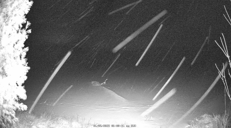 Image from 2025-01-05