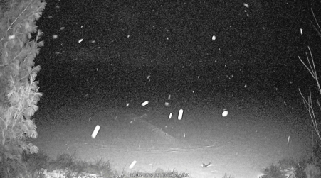 Image from 2025-01-05