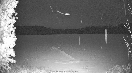 Image from 2025-01-05
