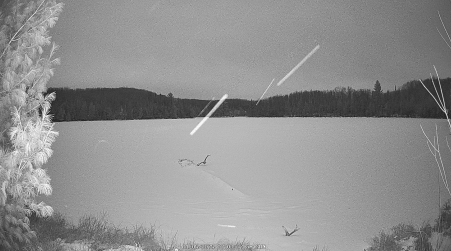 Image from 2025-01-05