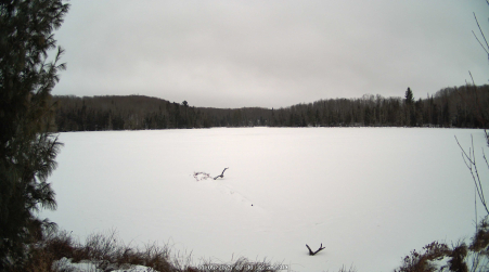 Image from 2025-01-05