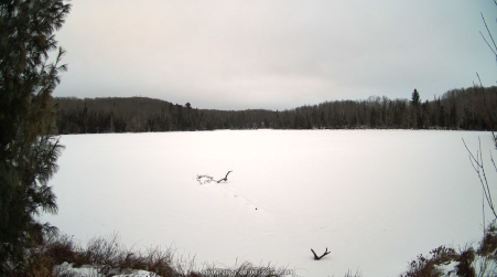 Image from 2025-01-05