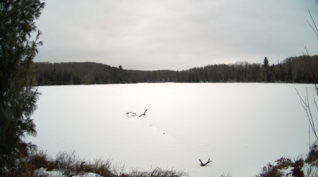 Image from 2025-01-05