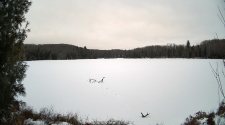 Image from 2025-01-05