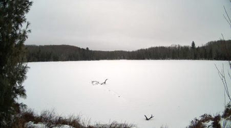 Image from 2025-01-05