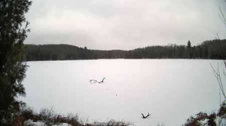 Image from 2025-01-05