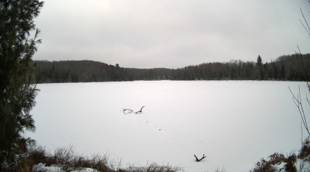 Image from 2025-01-05