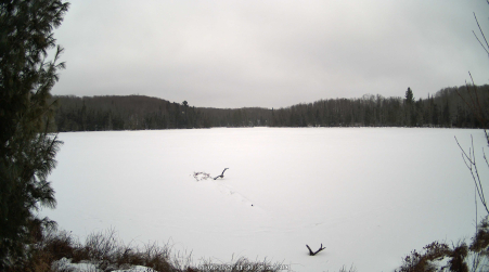 Image from 2025-01-05