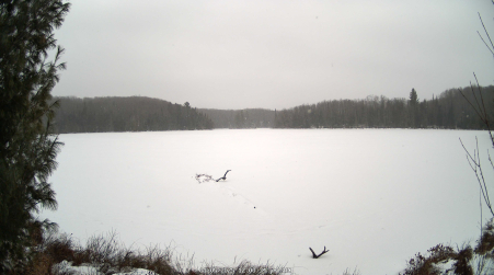 Image from 2025-01-05