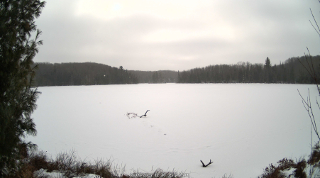 Image from 2025-01-05