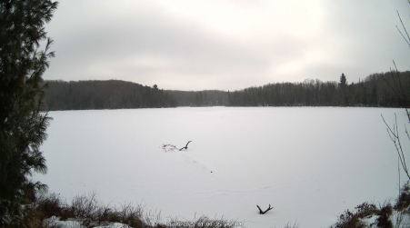 Image from 2025-01-05