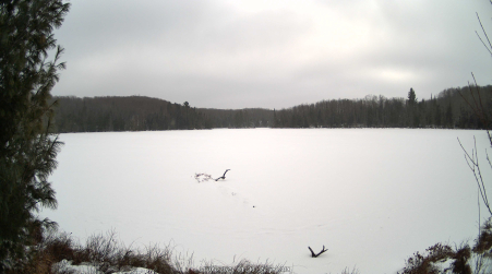 Image from 2025-01-05