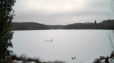 Image from 2025-01-05