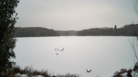 Image from 2025-01-05