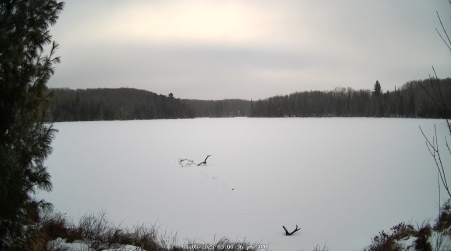 Image from 2025-01-05