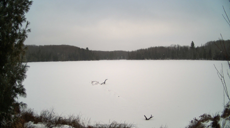 Image from 2025-01-05