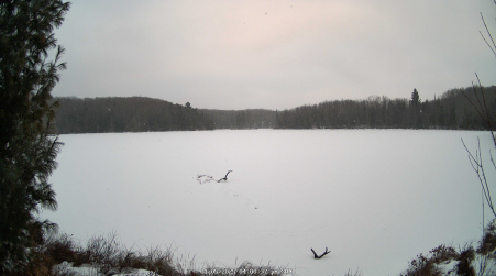 Image from 2025-01-05