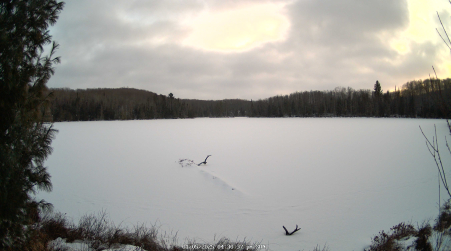 Image from 2025-01-05