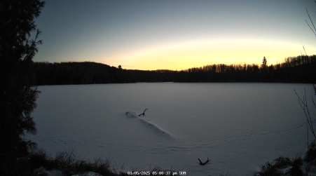 Image from 2025-01-05
