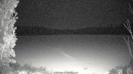 Image from 2025-01-05