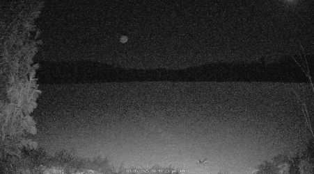 Image from 2025-01-05