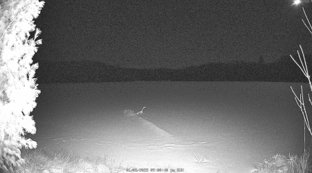 Image from 2025-01-05