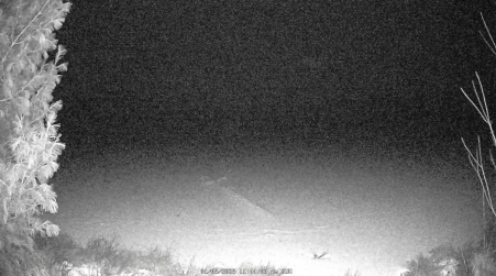 Image from 2025-01-05