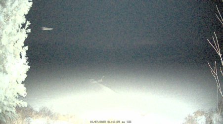 Image from 2025-01-07