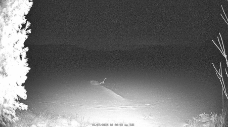 Image from 2025-01-07
