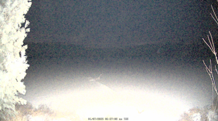 Image from 2025-01-07