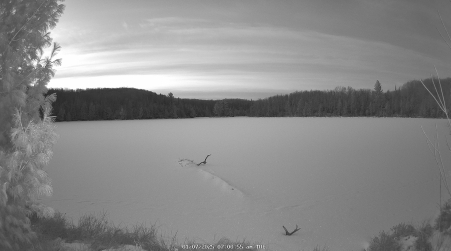 Image from 2025-01-07