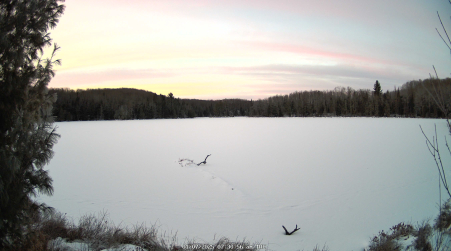 Image from 2025-01-07