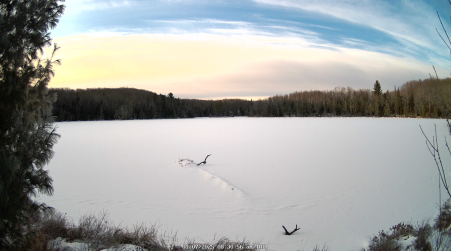 Image from 2025-01-07