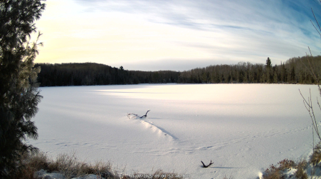Image from 2025-01-07