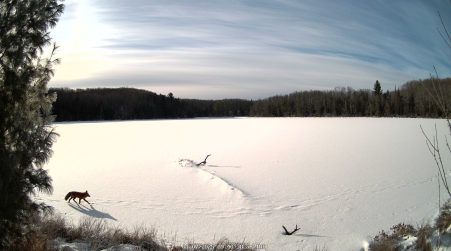 Image from 2025-01-07