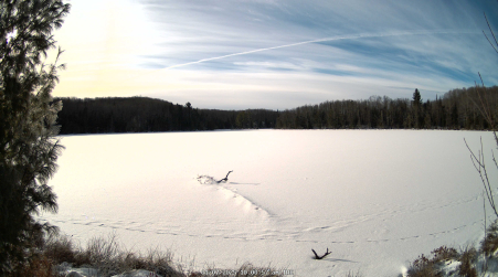 Image from 2025-01-07