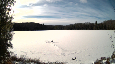 Image from 2025-01-07